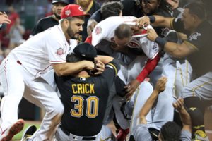 Beisbolo mačas virto masinėmis muštynėmis: kumščius į darbą paleido D. Neverausko klubo draugai