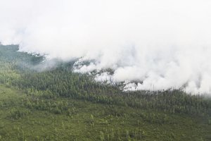 Padėtis blogėja: Rusijai nesiseka kovoti su liepsnomis Sibire, gaisrai plečiasi