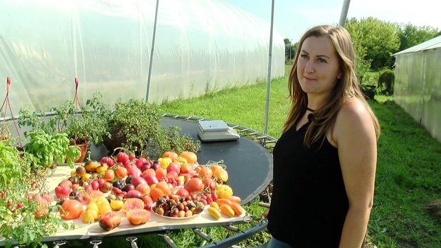 Panevėžietė stebina pomidorų derliumi: augina per 150 veislių