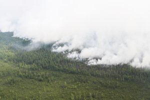 Rusijos meteorologas paaiškino, kas kaltas dėl miškų gaisrų Sibire