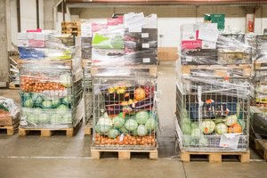 Augintojai nieko gero nežada – daržovės turėtų brangti  