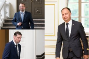 Pusė Vyriausybės išeina atostogų: vienas ministras – tėvystės