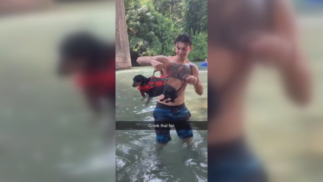 Sugalvojo originalų būdą, kaip išmokyti šunį plaukti – internautai vos sulaiko juoką