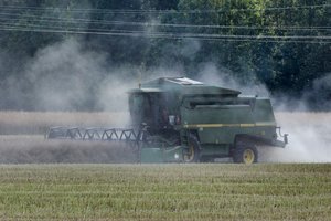 Suskaičiuoti jaunųjų ūkininkų paraiškų rezultatai: žada paramą visiems