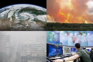 Siaubas Sibire: miestas dūsta nuo smogo ir tūkstančių vabalų antplūdžio – gresia katastrofa