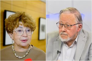 V. Landsbergiui paskelbus eilėraštį – aštri F. Kukliansky kritika: „Žodis „žydelka“ tikrai žeidžia“