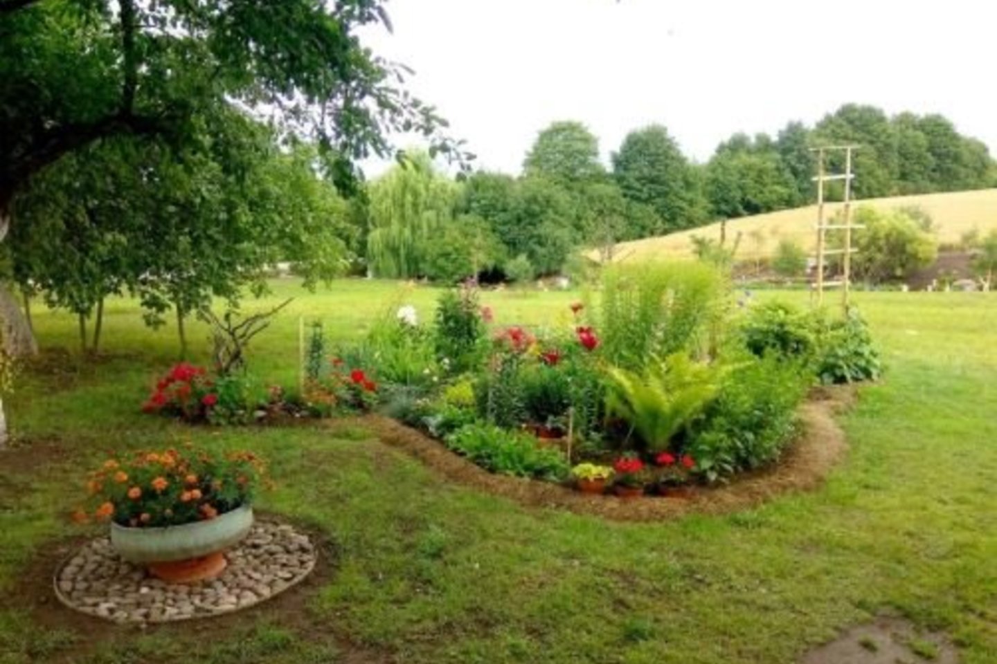 Kėdainiečių Algirdo ir Danutės Granauskų sodyba Paobelio kaime.<br>D.Kuprijanovo nuotr.