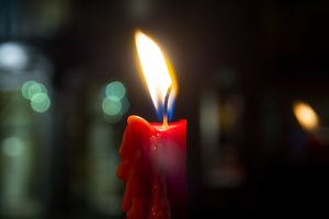 Rasti iš lėktuvo iškritusios britų studentės palaikai