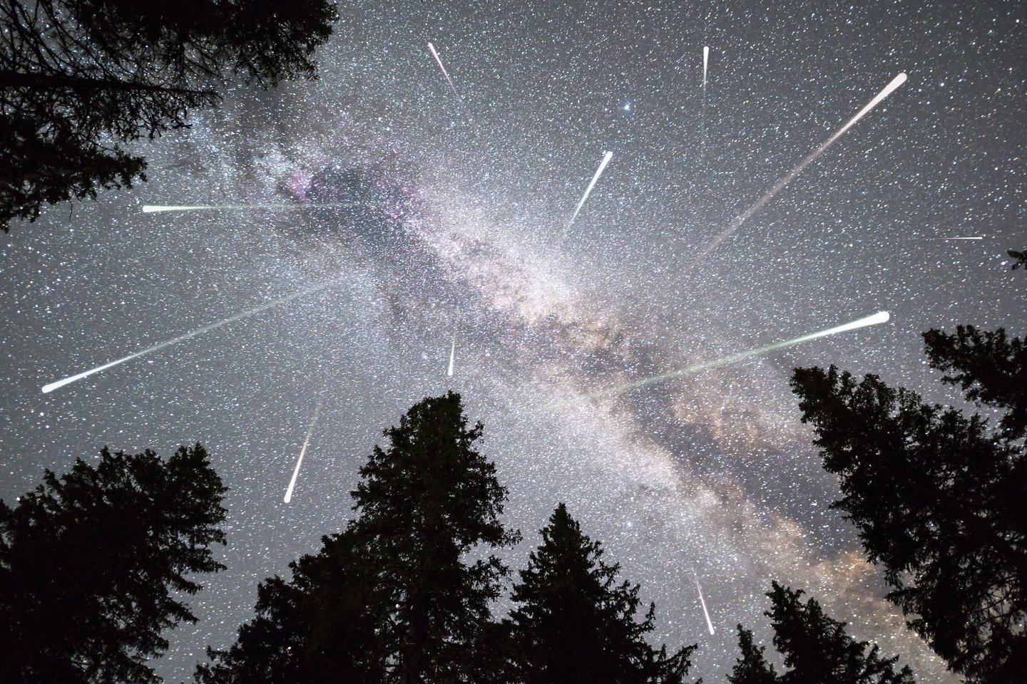 Bet astronomai sako, kad perseidai garsėja savo ryškumu, todėl nors dangus ir nebus toks tamsus kaip norėtųsi – meteorai vis tiek bus matomi. <br>123RF nuotr. 