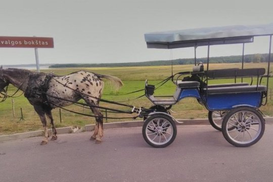 Lazdijų r. apvirto karieta – sužaloti trys žmonės