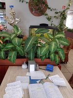 FNTT maitinimo įstaigose apsilankė ne dėl maisto kritikos – nustatė rimtų pažeidimų 