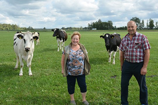 Galvijų augintojų nerimas: ar pakaks pašarų?
