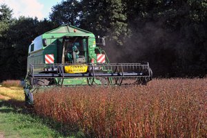 Žemės ūkio produkcijai perdirbti – nauja parama