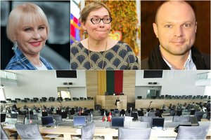 Besiveržiantiems į Seimą – žinia iš A. Maldeikienės: Lietuvoje vyrauja lavonų politika