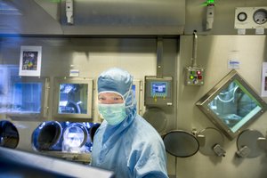 Britai vilios gabiausius užsieniečius – B. Johnsonas sugalvojo nuolaidą