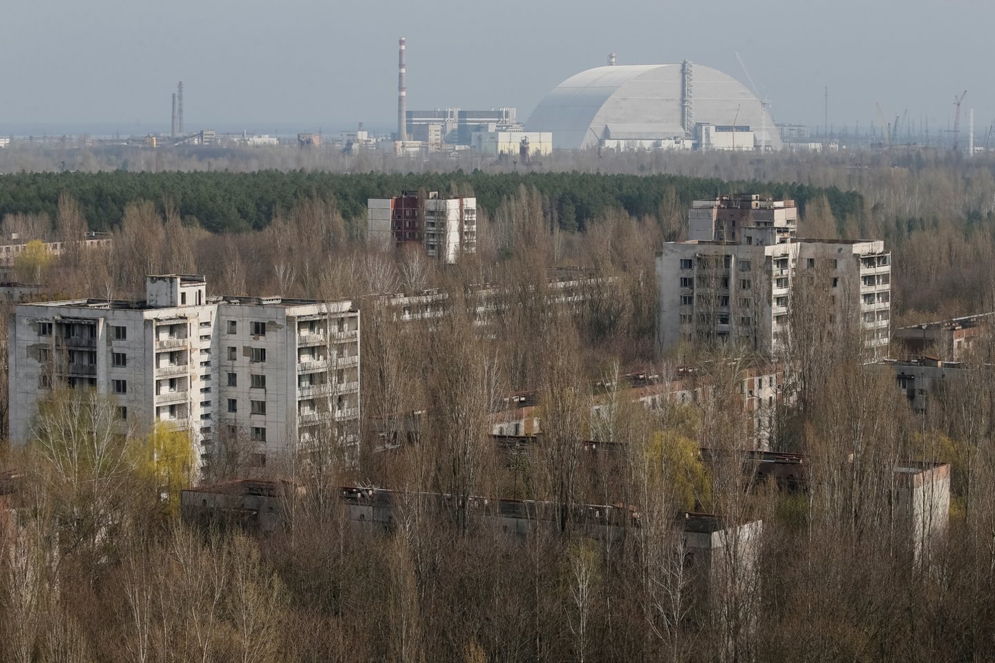 Mokslininkai nori parodyti, kad ir Černobylio AE zoną galima panaudoti ekonomiškai.<br>Scanpix nuotr.