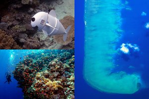  Tyrimas: vandenyno dugne užfiksuoti grėsmingi procesai