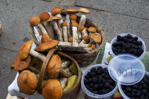 Skambina pavojaus varpais: traukiasi lietuviškų miško gėrybių verslas