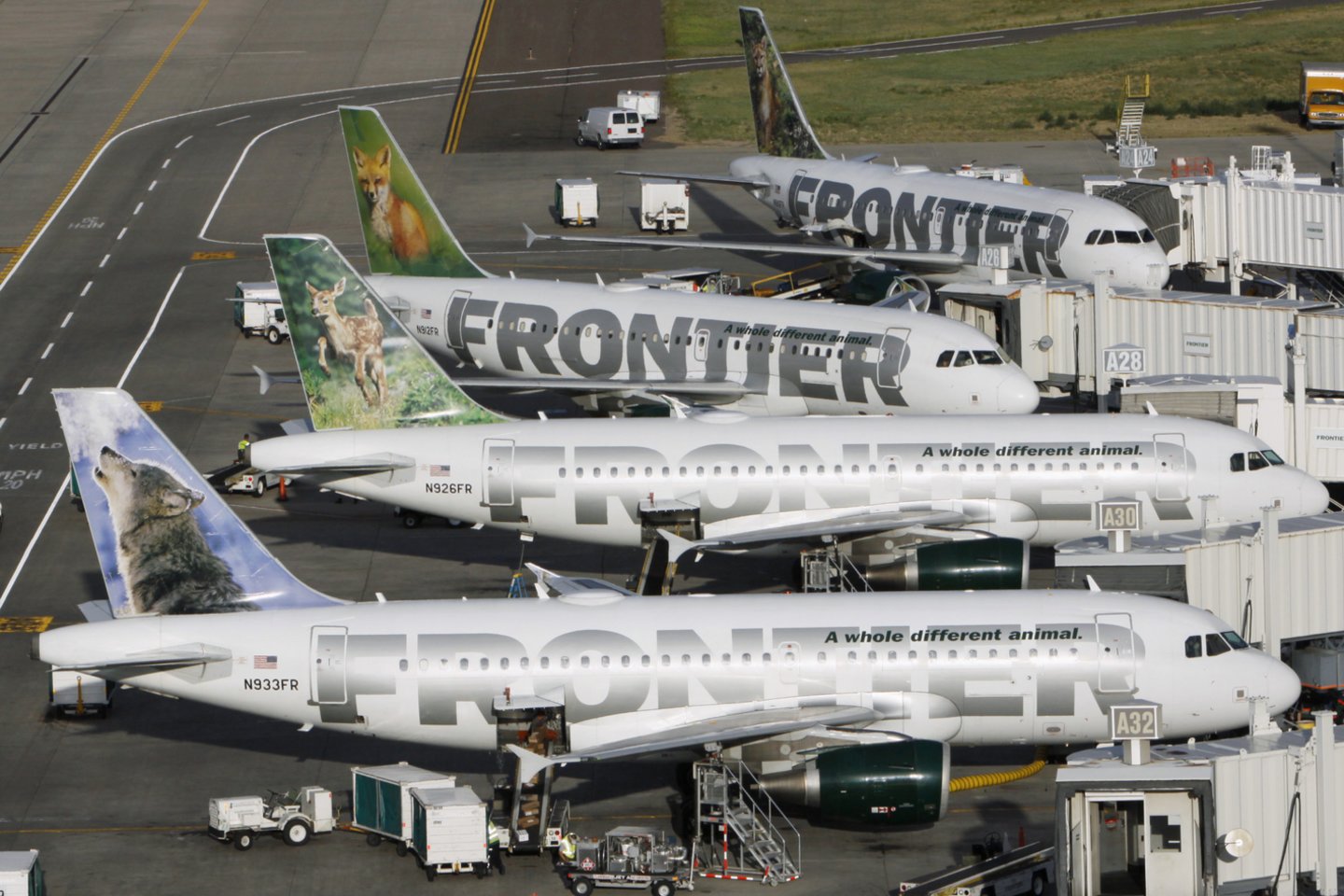 „Frontier Airlines“, savo Žaliąją savaitę rengianti nuo šio antradienio iki rugpjūčio 20 d., siekia tapti mažiausiai aplinką teršiančia oro vežėja visose JAV.<br> Reuters/Scanpix nuotr.