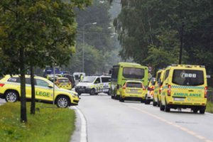 Aiškėja daugiau detalių apie Oslo mečetę puolusį ir seserį nužudžiusį teroristą