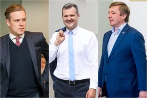 Politologė: įdomiausia kova dabar verda tarp valstiečių-žaliųjų ir G. Palucko socialdemokratų