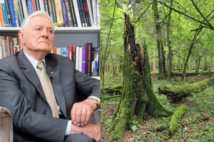 Palaikymą Punios šilui išreiškė prezidentas Valdas Adamkus