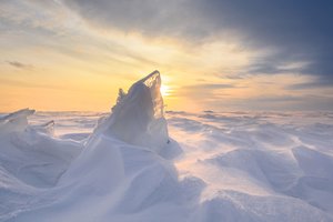 Po Antarktidos ledynais – netikėtas radinys