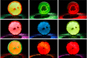 Mityba pagal Zodiako ženklą: ką valgyti, o ko vengti?