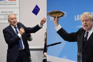 Eurokomisaras V. P. Andriukaitis – didžiausia rakštis kietojo „Brexit“ vėliavnešiui B. Johnsonui