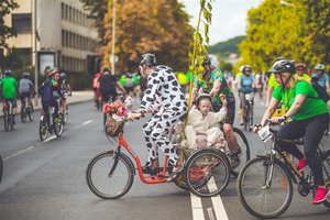 Stilingiausi dviratininkai surems jėgas velomaratone