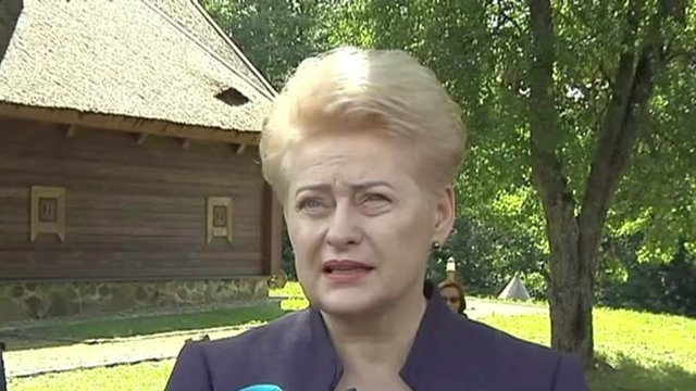 Po mėnesio pertraukos – D. Grybauskaitės pasirodymas viešumoje: prabilo apie trūkumus