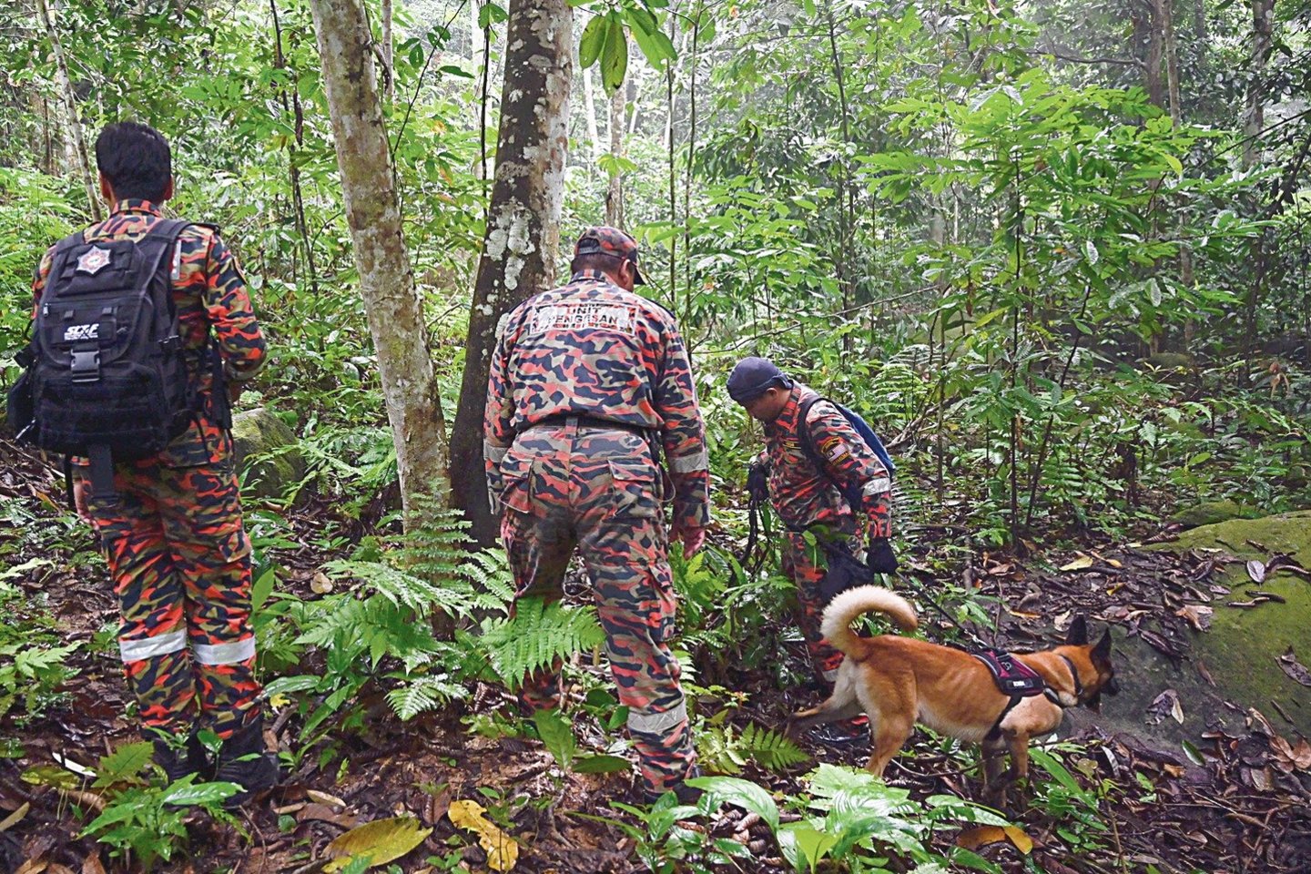 Gelbėtojai ieškojo mergaitės su šunimis, džiunglėse už ją meldėsi ir šamanai.<br>„PA Wire“/„Scanpix“ nuotr.