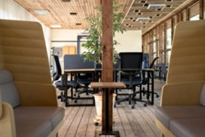 Poilsiautojams Palangoje atvėrė galimybes dirbti: tokios erdvės čia dar nebuvo