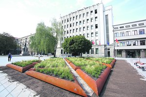 Rūdžių dėmės bjauroja svarbiausios Kauno alėjos grindinį 