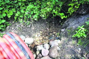 Stebuklingu laikomą šaltinį šalia Kauno sekina naujos statybos  