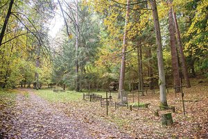 Našlaičių kapinėse toliau ieškos partizanų palaikų