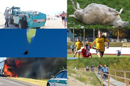 Lietuva per savaitę: vilkų siautėjimas, futbolas vietoj darbo, girto skrydis parasparniu