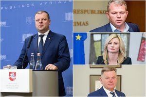 Seimas baigia Vyriausybės formavimą: profesionalus keičia partiniai politikai