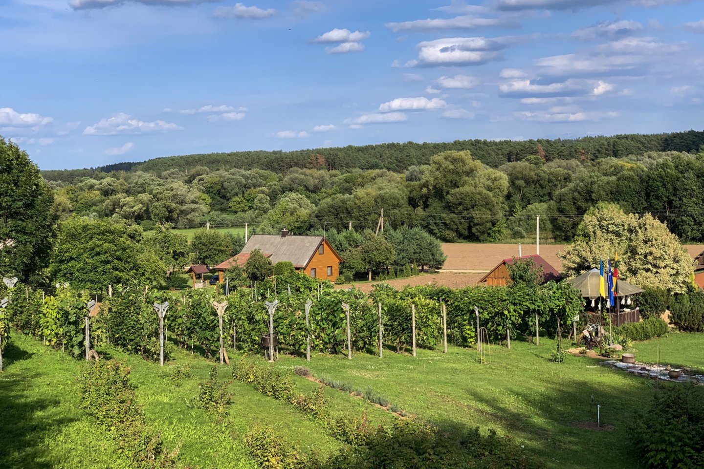 Gamina tautinio paveldo titulą turintį vyną ir rengia edukacines programas žmonėms, kuriems įdomu vyno gamybos procesas.<br>A.Bružinskaitės nuotr.