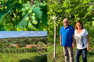 Lietuvos kaime kaip Prancūzijoje – ukrainietės ir lietuvio šeima laužo stereotipus