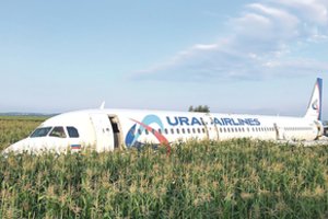 Rusijos oro uostai nesusitvarko su paukščiais: vien šiemet su jais susidūrė šimtai lėktuvų