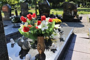 Kapinėse rokiškietė nufilmavo pavojingą incidentą: tikiuosi, kiti pasimokys