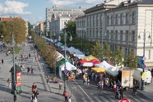 Jubiliejinės „Sostinės dienos“ dėmesį skirs menininkų darbų pristatymui, vaikų pramogoms