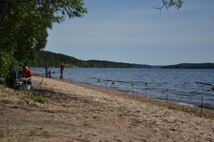 Lydekų žvejyboje pravers ir liniuotė 