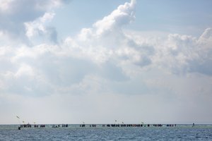 Baltijos jūroje dingusio latvio baidarė rasta Estijos pakrantėje