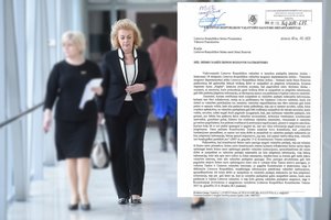 Paviešino visą žvalgybos raštą, kurį gavo Seimo pirmininkui dėl I. Rozovos