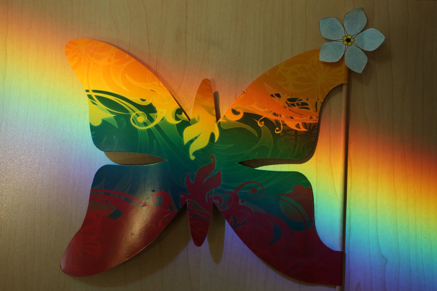 2004 m. į gyvą grandinę prieš Kinijos karinius grasinimus susikibo Taivano gyventojai.<br>M.Patašiaus nuotr.