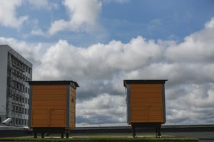 EK siūlymai ateities Europai: nuo avilių  iki 100 mlrd. eurų fondo verslui