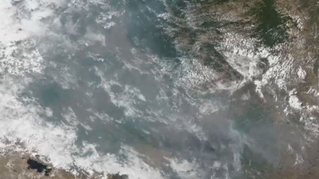 Situacija Amazonės miškuose – kritinė: gaisrų dūmai matyti net iš kosmoso