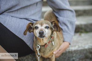 Mylimą kalytę praminė „katašuniu“ dėl vienos priežasties